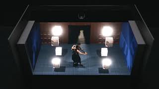 Sony Eye-Sensing Light Field Display at CES 2020!