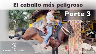 El caballo MÁS PELIGROSO  parte 3  ME MONTO EN EL CABALLO  Pablo Saldarriaga