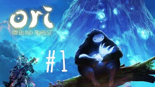 Ori And The Blind Forest - Nintendo Switch Gameplay #1