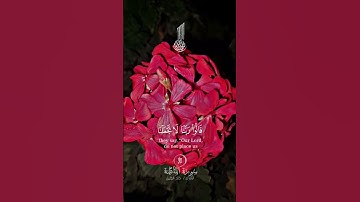 #قران_كريم#سورة_المائدة#خالد_الجليل