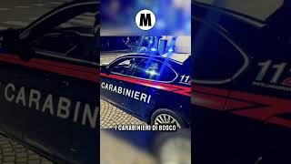 Video giornale 31 luglio 2026 | Edizione 13:30 video