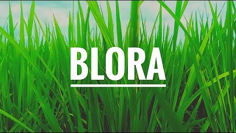 Vlog Cinematic Blora