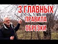 3 главных правила обрезки / ОБРЕЗКА плодовых деревьев / Игорь Билевич