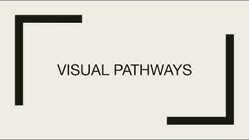 Visual Pathway