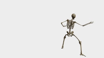 Skeleton Rig for MAYA