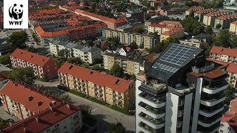 Urban Nature-based Solutions: Buildings and neighbourhoods