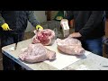 Making Prosciutto at home with John! Part One