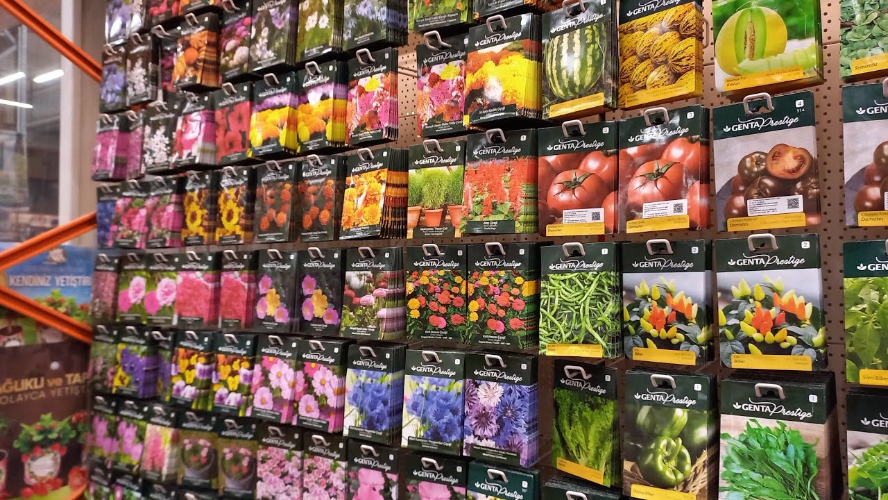 BAHAUS CICEK TOHUM UCRETLERI VE CESITLERI