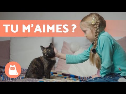 Vidéo: Pourquoi les chats aiment-ils le cérumen ?