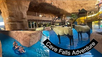 A Perfect Family Adventure: From Desert Falls to Salwa Beach