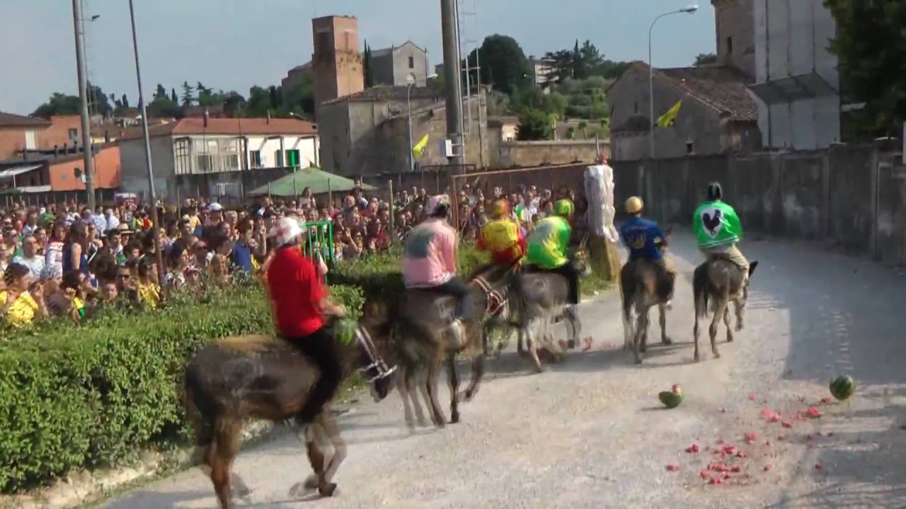 Palio Straordinario 2010 - Asciano