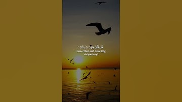Part 06 I Surah Al-Kahf Beautiful  | Emotional & Heart-Touching Tilawat | سورة الكهف تلاوة خاشعة