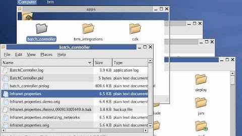 Oracle BRM - Check Portal Processes