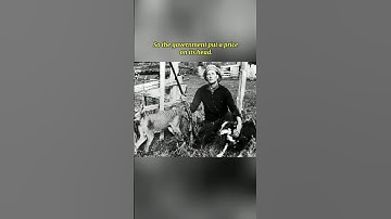 Extinct… or Just Hiding? The Mystery of the Thylacine  #extinction #animals #extinctarchive