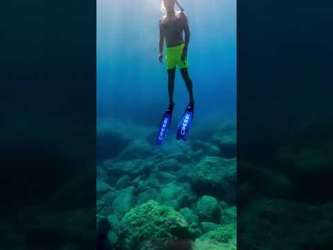 Video: Dünyanın En Ucuz 6 Yeri Scuba Sertifikası Almak için