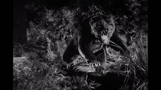 Son Of Kong 1933 Kiko Vs Cave Bear