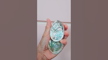 Beautiful Abalone Shell #goodluck