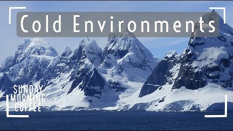 Cold Environments - SUNDAY MORNING COFFEE - AQA GCSE 9-1 Geography 2021