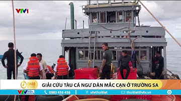 Giải cứu tàu cá của ngư dân Quảng Ngãi mắc cạn ở Trường Sa | VTVWDB