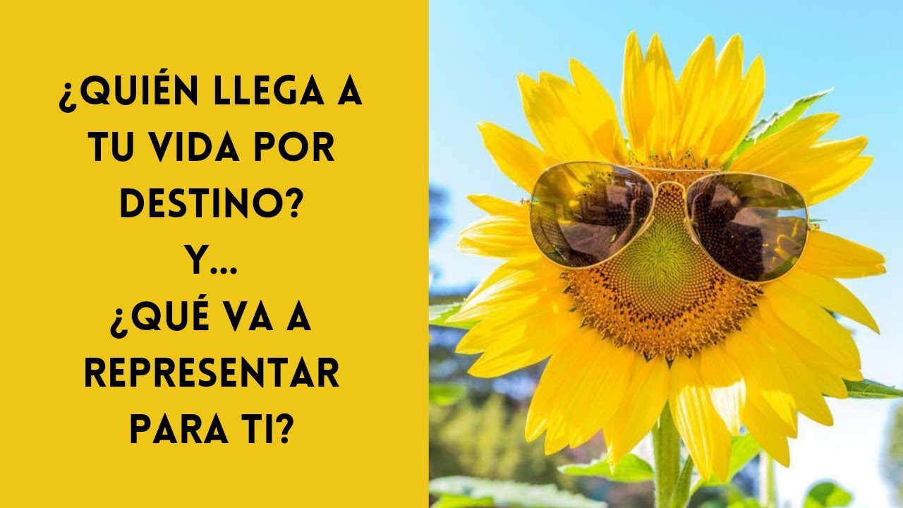 ¿Quién viene a tu vida por destino? ¿Qué va a representar? Tarot ...