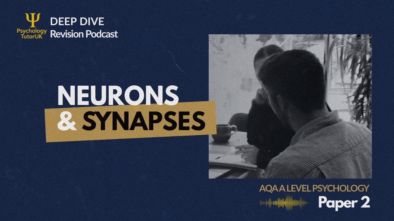 Neurons & Synaptic Transmission Revision Podcast | AQA A Level ...