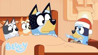 Familiefeesten | Bluey - Officieel Nederlands kanaal