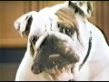 1980 Milk-Bone Commercial