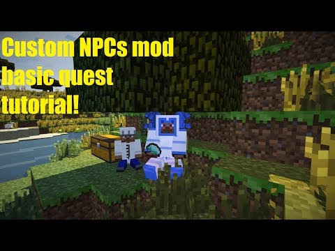 Custom npcs basic