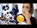 Where Did My Dog Theo Go?? | HeyItsSarai