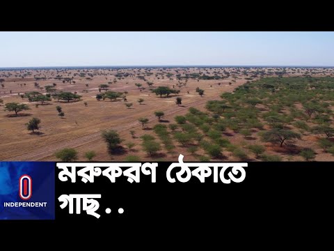 ভিডিও: আফ্রিকায় মরুকরণ কি?