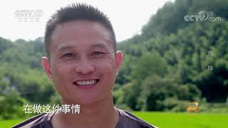 《遍地英雄》 20200921 鸟导|CCTV农业