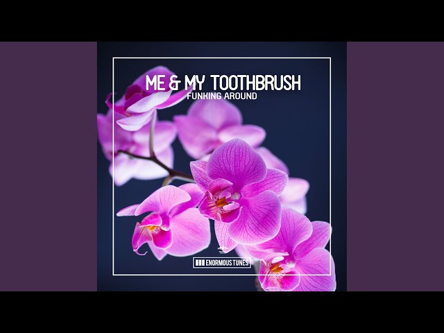 Me & My Toothbrush - Funking Around