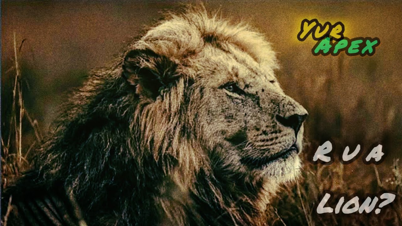 YURAPEX: LION (Bravery & Royalty) 