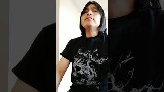 I've try Chevelle Untill You're Refomed