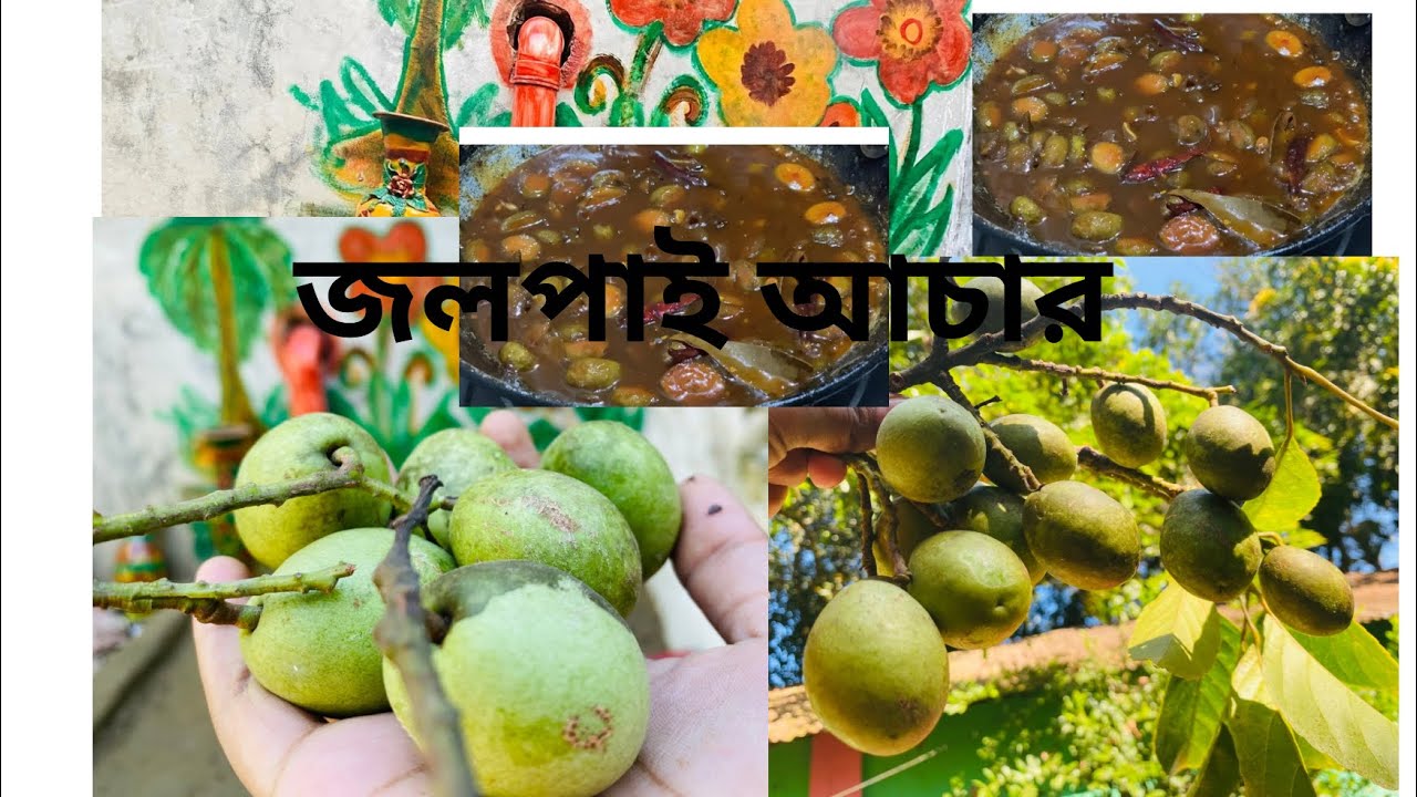 আজকের দিনলিপি তে ছিলো (তৈল দিয়ে জলপাই আচার )😋😋😘