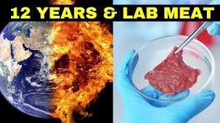 WE HAVE 12 YEARS LEFT & LAB MEAT