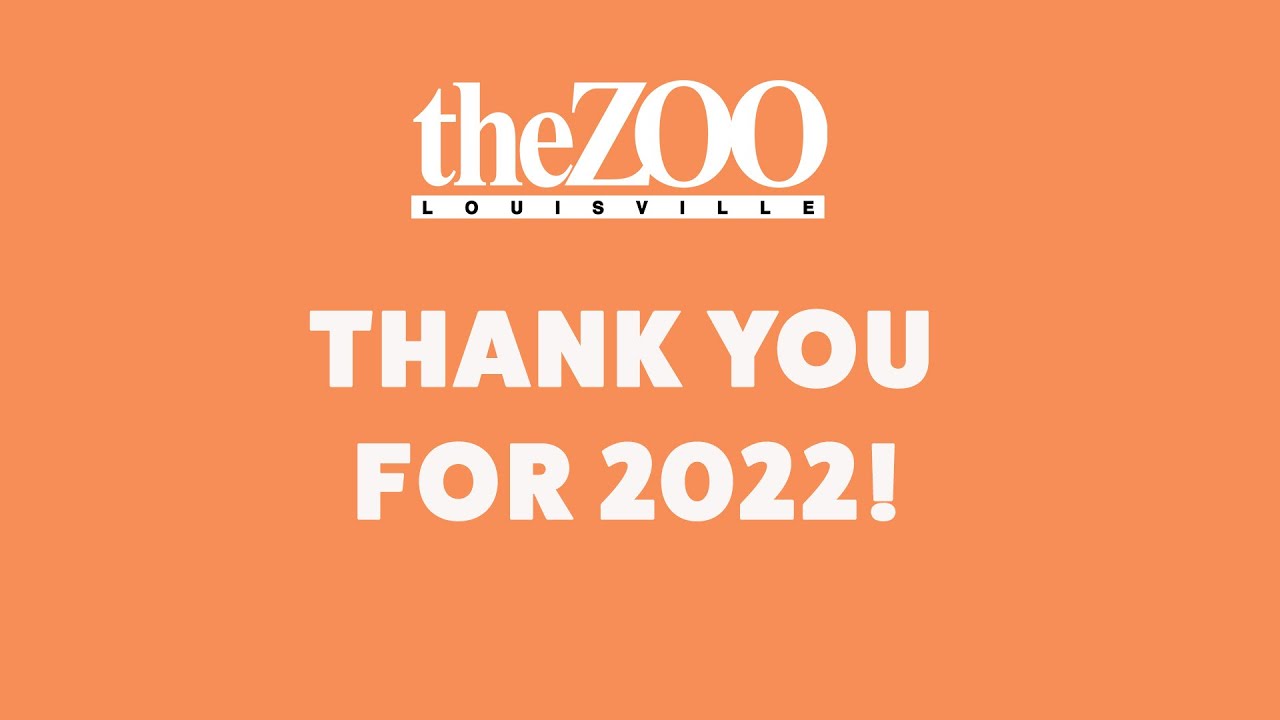 END OF YEAR 2022 YouTube end-of-year-2022-youtube