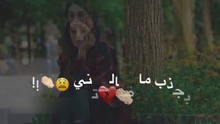 حالات وتساب عراقية لملميتك طشرتني / زيد حبيب و نور الزين 2018