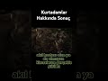 Kurtadamlar Hakkında Sonuç #gizemlervebilinmeyenler #youtuber #youtube #bilgi #youtubeshorts