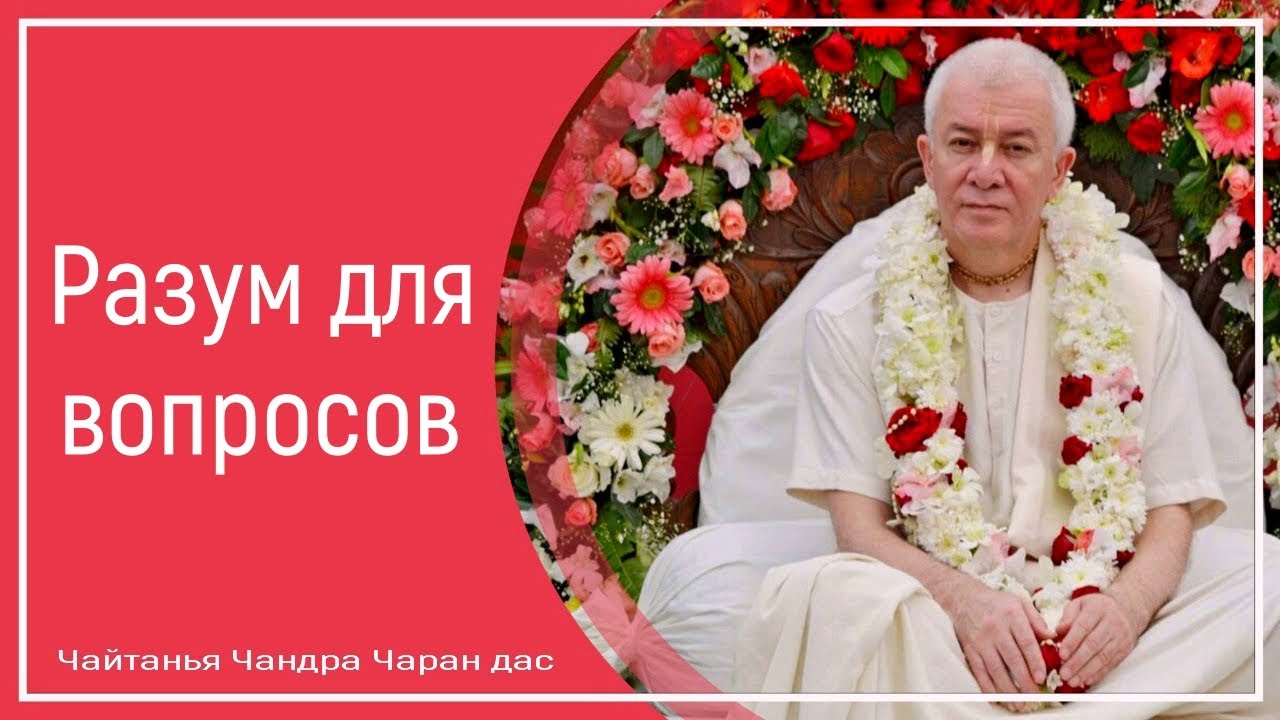 Разум для вопросов