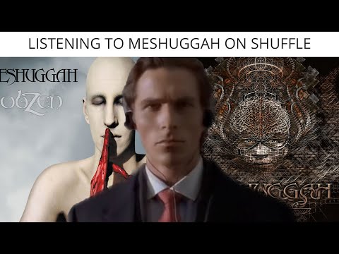 Listening To Meshuggah On Shuffle