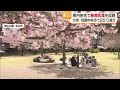 松山でも雨上がりのサクラの下で花見 愛媛の2地点で今季初の夏日 晴れの日は20度超の温かさに【愛媛】 (26/03/31 18:33)