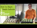 How i start seeds indoors  tips  techniques
