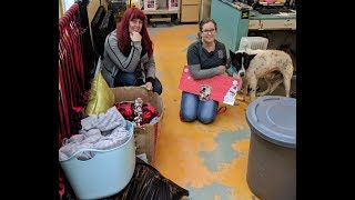 SPCA our local animal shelter donations 2018