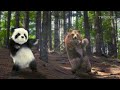 Animal Song Jungle Dance With Panda Dog Cats And A Bear 2025 By Twiddlie