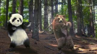 Animal Song (Jungle Dance) | With Panda, Dog, Cats, and a Bear 2024 | By Twiddlie