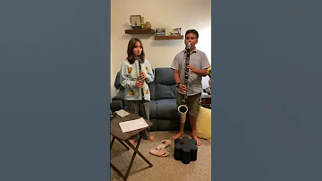 7 nation army with bass clarinet and clarinet