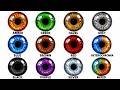 Every Eye Color Explained in 5 Minutes