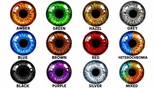 Every Eye Color Explained in 5 Minutes