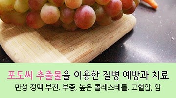 포도씨 추출물을 이용한 질병 예방과 치료 및 약물과의 상호 작용